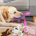 thumbnail image 2 of Prime Pets Dog Toys, 5 Pack, Squeaky Plush Dog Chew Toys Gift for Small Medium Large Dogs, Puppy, 2 of 7