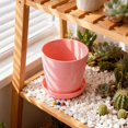thumbnail image 3 of Succulent Modern Indoor Planter Containers For Cactus Bonsai And Home Garden For Stylish Oriental And Practical Display, 3 of 6