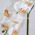 thumbnail image 4 of Nearly Natural 26in. Artificial Double Orchid Arrangement in Handmade Mexican Talavera Ceramic Planter, 4 of 8