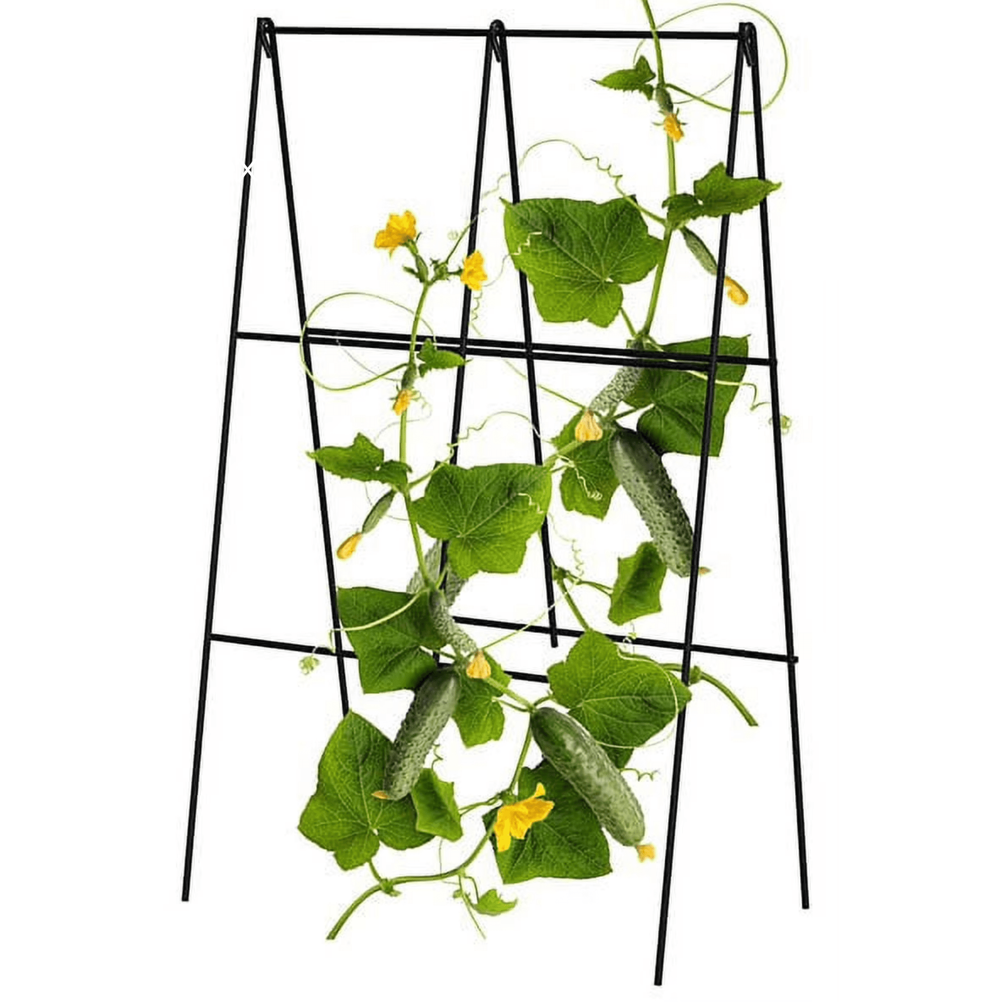 Panacea A-Frame Black Garden Trellis, 6 Count - Metal Folding Garden A Frame Trellis for Vegetables