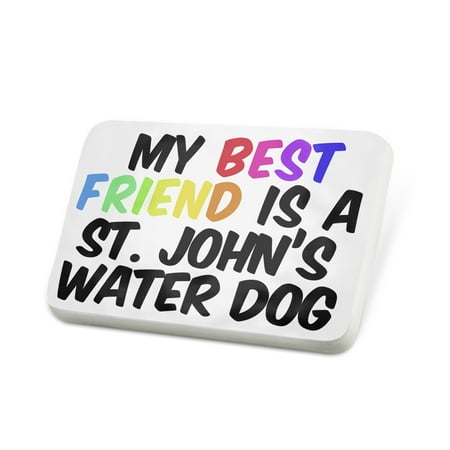 Porcelein Pin My best Friend a St. John's water Dog from Newfoundland, Canada Lapel Badge –