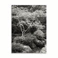 thumbnail image 2 of Gango Home Decor Japanese Park 1 B&W by Vitaly Geyman (Printed on Paper); One 18x24in Fine Art Paper Giclee Print, 2 of 4