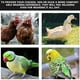 thumbnail image 4 of Chaleco reflectante de pollo, chaleco para mascotas, poliéster, pollo, pato, ganso, chaleco en el pecho MFZFUKR BST3000286-2, 4 of 5