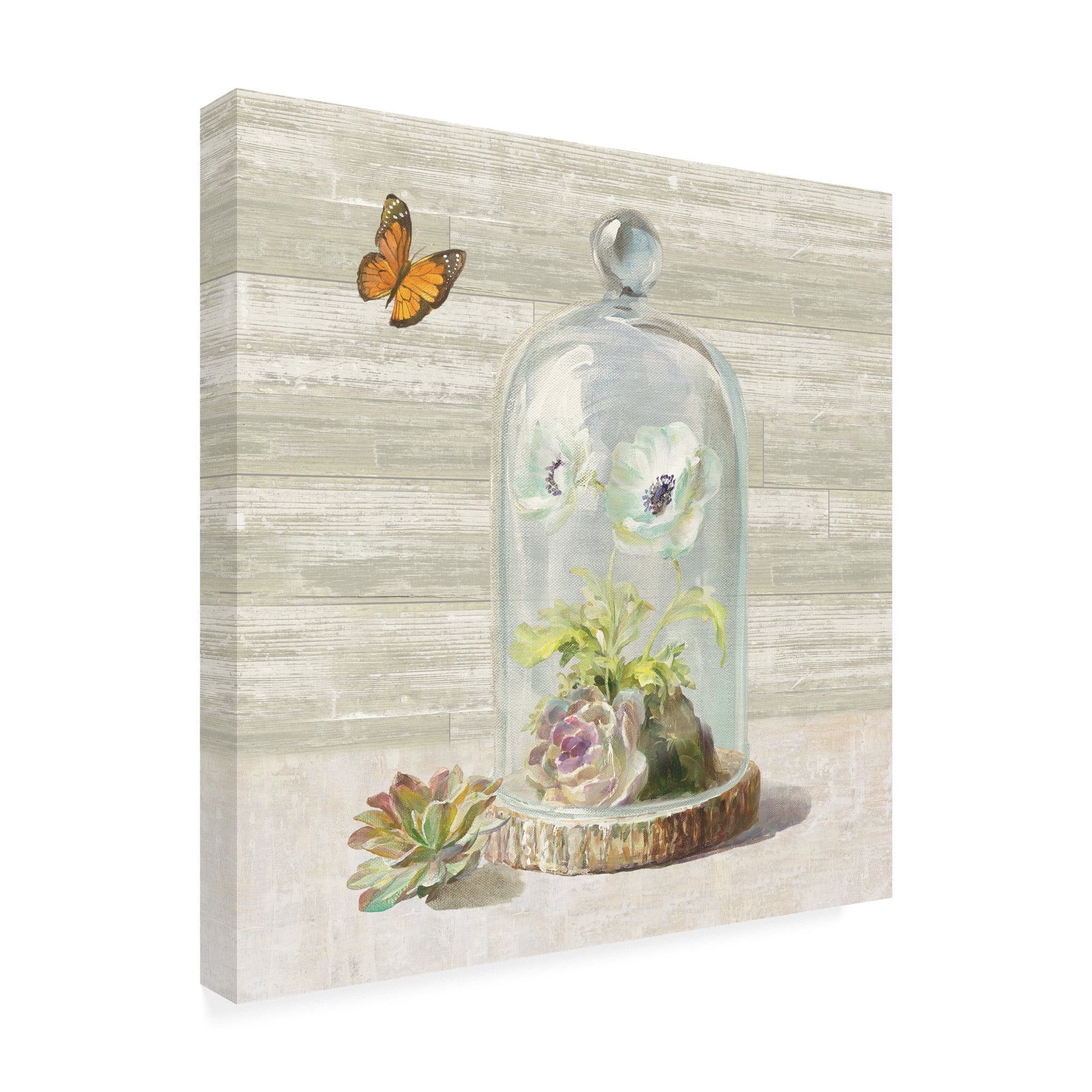 Trademark Fine Art 'Succulent Garden I' Canvas Art by Danhui Nai