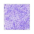 thumbnail image 4 of Miyuki Delica Seed Bead 11/0 Ceylon Lavender, 4 of 5