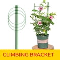 thumbnail image 6 of CHOII 17.7" Iron Round Plant Support Cage with Adjustable Rings, 6 of 7