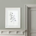 thumbnail image 4 of Wexford Home Eucalyptus Sketch IV-Framed - White - 22X30, 4 of 4