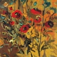 thumbnail image 2 of Harwood, Jennifer 26x26 Black Ornate Wood Framed with Double Matting Museum Art Print Titled - Wild Poppies, 2 of 4
