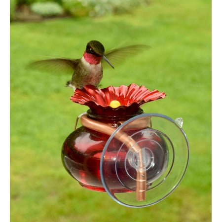 Window Watch Hummingbird Feeder Walmart Com