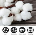 thumbnail image 3 of 143PCS - Juguete para gatos - Estilo bola de menta, 3 of 5