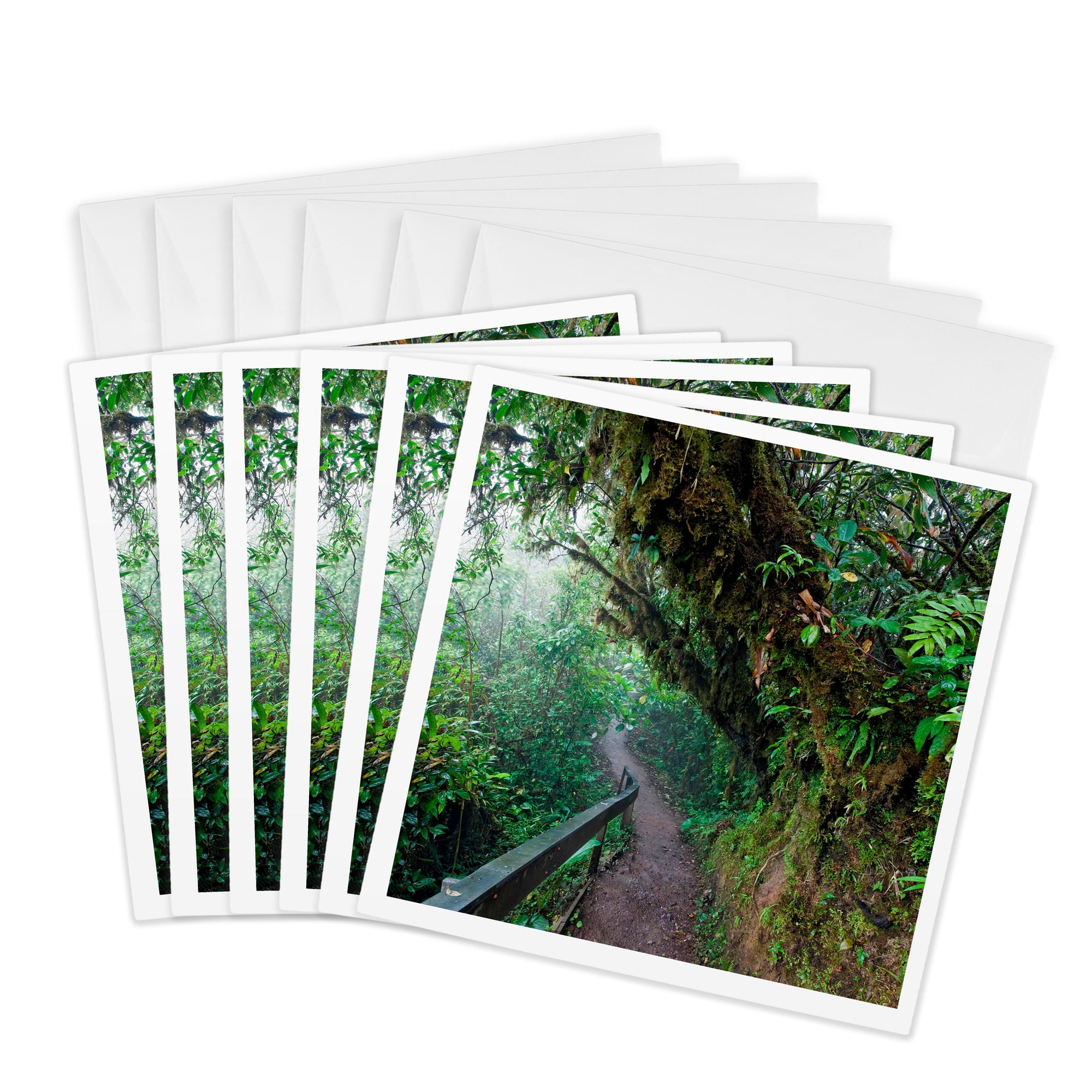3drose Path Monteverde Cloud Forest Reserve Costa Rica 6 Greeting Cards with Envelopes