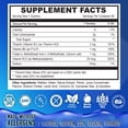 thumbnail image 3 of Center-Filled 5-MTHF Folate L-Methylfolate Gummies - Sugar-Free MTHFR Vitamins B Complex Support with Methylated B1, B6 and B12 Cofactor - Mood, Behavior, Cognition - 60 Count, 3 of 6