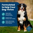 thumbnail image 5 of Blue Buffalo Life Protection Formula Natural Dry Dog Food, Fish & Brown Rice, 15-lb. Bag, 5 of 12