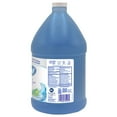thumbnail image 3 of Dial Antibacterial Foaming Hand Wash Refill, Spring Water Scent, 1 gal, 4/Carton, 3 of 7