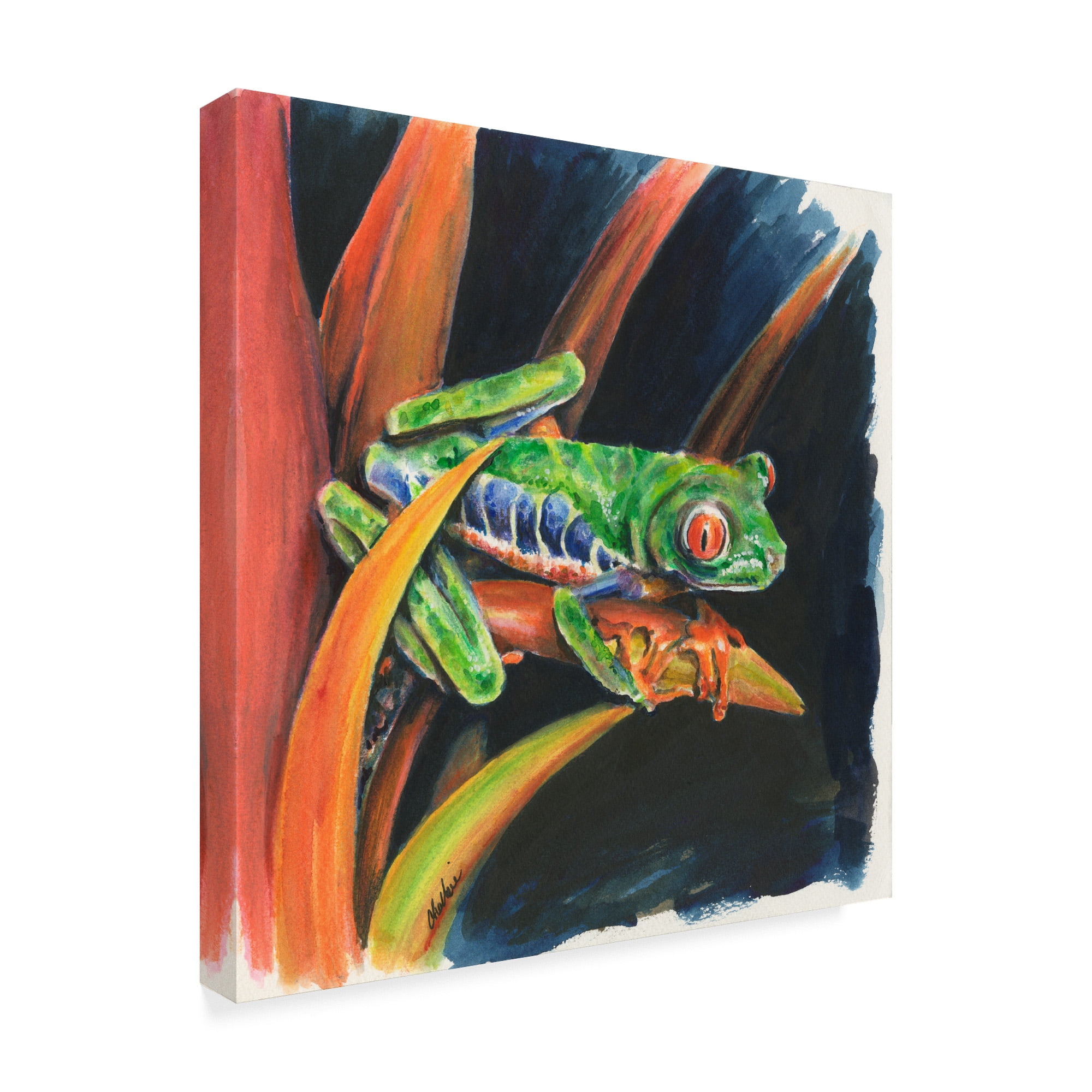 Trademark Fine Art 'Costa Rican Leaping Frog' Canvas Art by Charlsie Kelly