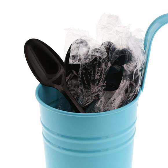 AmerCareRoyal Medium Weight Individually Wrapped Disposable Polypropylene Plastic Teaspoons for Restaurants and Catering, Black, Pack of 1000