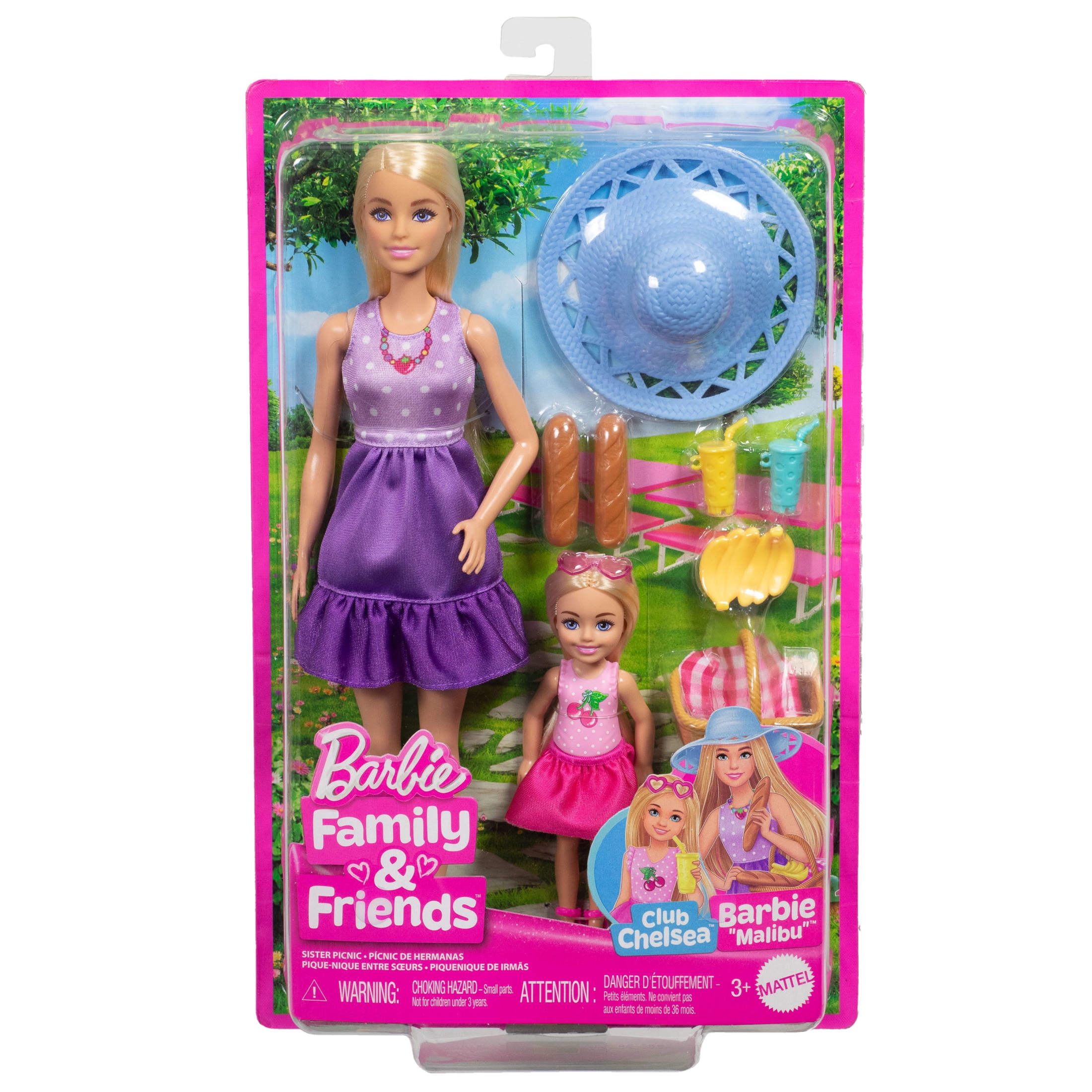 Barbie Family & Friends Dolls & Accessories, Picnic-Themed Playset with 2 Dolls & 9 Pieces