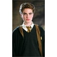 thumbnail image 4 of GHSDFBB Harry Potter Tie Costume Accessory, 4 of 5