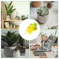 thumbnail image 5 of Plantas suculentas artificiales Uxcell, suculentas falsas, planta sin maceta, suculentas texturizadas realistas, paquete de 4 en amarillo, 5 of 5