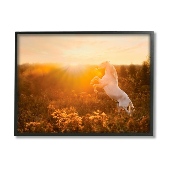 Stupell Industries Standing Horse in Rising Sun Landscape Photography Black Framed Art Print Wall Art, 14 x 11