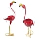 thumbnail image 5 of Maceta con forma de flamenco características distintivas Mano de obra exquisita Maceta de hierro con forma de animal para jardín ANGGREK Otros, 5 of 8