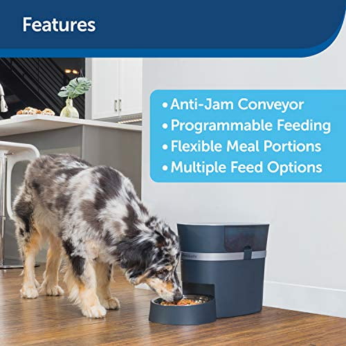 Petsafe smart feed app 2025