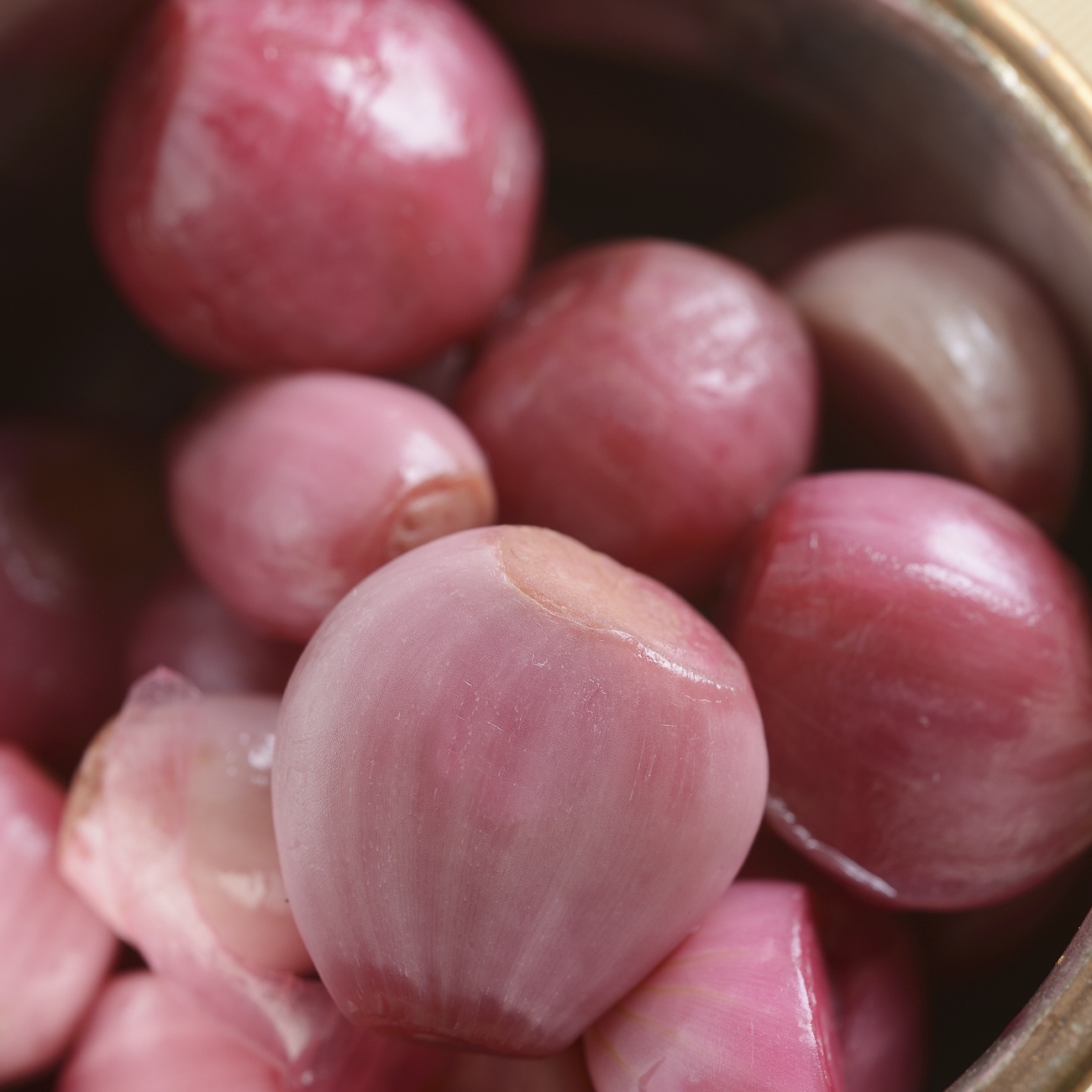 Van Zyverden Dutch Shallots Red Set of 25 Bulbs, White, Full Sun , Perennial