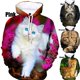 thumbnail image 2 of Sudadera con capucha con estampado de gato para hombre y mujer, ropa con estampado de gatos kawaii en 3D, divertida, estilo Harajuku, Y2K, 2 of 4