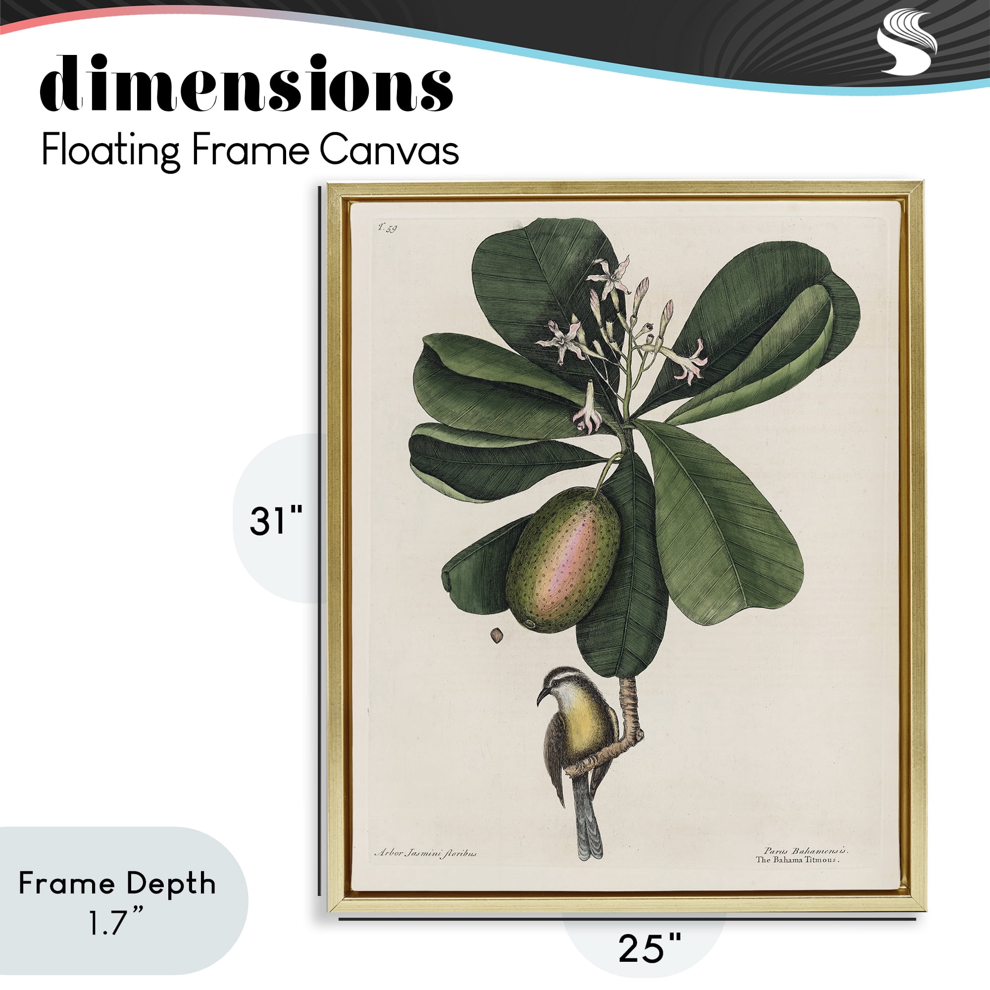 Stupell Industries Catesby Flora & Fauna Gold Framed Floater Canvas Wall Art, design by Print Collection