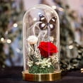 thumbnail image 5 of 1 Pc Glass Display Dome Cloche 3.54x4.92 Inch Cloche Bell Jar Terrarium with Cork Base Decorative Display Dome Case for Plants Flower Christmas Display Decoration Clear, 5 of 6