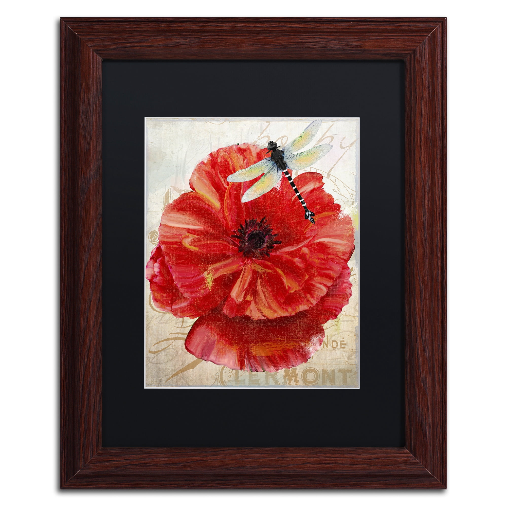 Trademark Fine Art "Le Pavot Dragonfly" Canvas Art by Color Bakery, Black Matte, Wood Frame