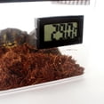 thumbnail image 3 of 1 pedazo Reptile Vivarium Reptile Terrarium Caja - Blanco Salvador Terrario vivero de reptiles, 3 of 10