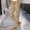 Khaki women cargo pants a1, variant on BRELIL Women's Cargo Pants Drawstring Loose Straight Leg Casual Long Pants Solid Basic Lounge Trousers for Spring Summer Fall Activewear Baggy Athletic Pants, Khaki 2XL
