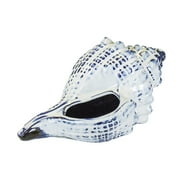 Sagebrook Home Blue Ceramic Seashell, Whelk