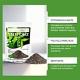 thumbnail image 3 of Planting Soil Blend, Breathable Potting Soil Indoor Plants, Cactus Soil Potting Mix for Indoor Potted Succulents, 3 of 5