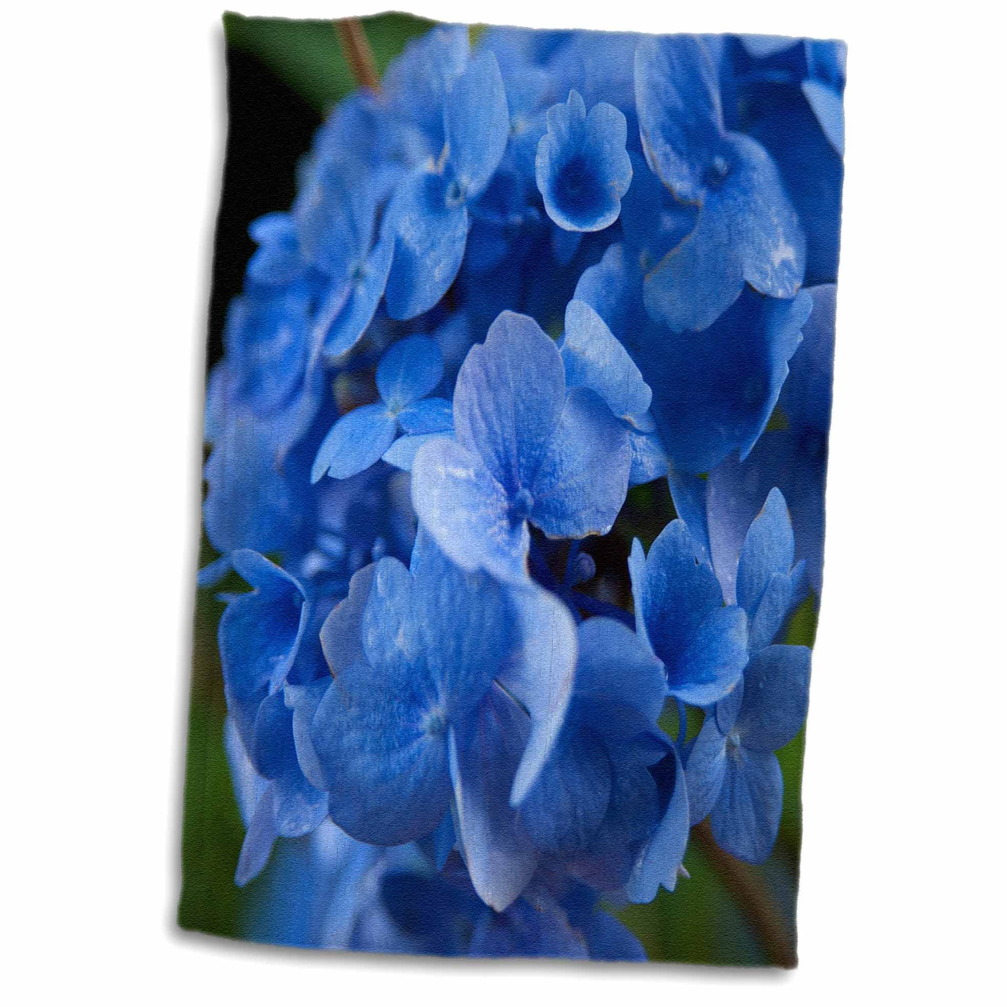 3drose Massachusetts Blue Mophead Hydrangea Flower Us22 Jen0065 Jim Engelbrecht Towel 15 By 22 Inch Walmart Com Walmart Com