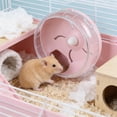 thumbnail image 1 of Silent Hamster Running Wheel Ultra Quiet Exercise Wheel Anti Slip Safe Cage Accessory Smooth Durable Rotation Design, For Hamster Gerbil Small Pets Indoor Cage Exercise And Activity, 1 of 6