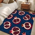 thumbnail image 4 of 3'x5' Area Rugs, Red Blue Fruit Indoor Outdoor Area Rug for Living Room Bedroom, Summer Fruits Geometric Art Washable Bathroom Rugs Kitchen Floor Carpet Mats Home Decor Aesthetic, 4 of 8