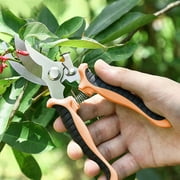 Stainless Steel Pruning Shears | Multifunction Garden Scissors | Floral Trimmer with Safety Lock | Ergonomic Handle | Spring Loaded | Anti-Slip Grip | Orange/Green/Yellow | 19x5.8cm