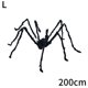 thumbnail image 2 of Decoraciones de Halloween, telaraña, araña de seda de algodón, simulación de araña grande, diseño de escena de barra, accesorios, ventas transfronterizas., 2 of 2