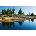 thumbnail image 1 of Design Pics DPI2026921LARGE Trees Reflection in Water Georgian Bay Ont Poster Print, 36 x 24 - Large, 1 of 1