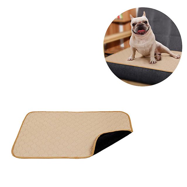 Pet Changing Pads Thickened Absorbent And Deodorizing Dog Fart Pads Soft Washable Pet Changing Pads Diapers