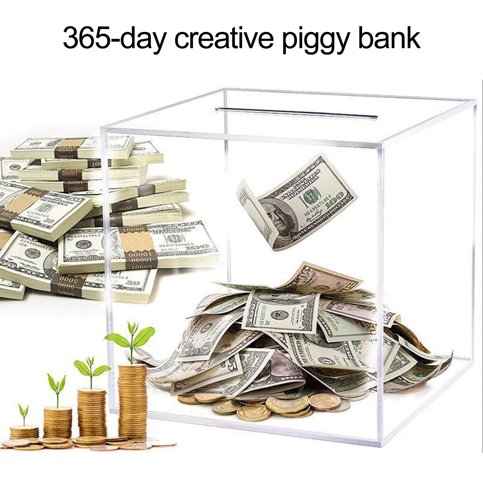 Zruodwans Piggy Bank for Adults Clear Acrylic Money Bank Piggy Bank