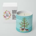 thumbnail image 2 of Carolines Treasures CK4694CDL 3.75 x 3.25 in. Unisex Ragdoll No.3 Cat Merry Christmas 10 oz Decorative Soy Candle, 2 of 5