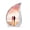 Cherry bloosom-2, variant on VALERASH Pink Flower Drop Urn for Ashes Adult Male & Female - Small Blue Teardrop Cremation Urns for Human Ashes Keepsake Butterfly Urn for Women- 3 Inch