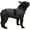 Grey, variant on Thunder Jacket for Dogs Anxiety Relief, Dog Anxiety Vest Calming Care for Separation, Thunderstorm, Travel, Fireworks, Vet Visits