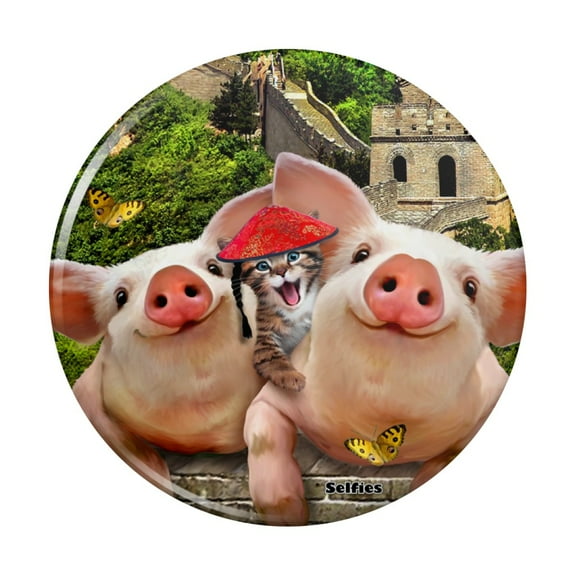 Great Wall of China Selfie Pigs Kitten Kitchen Refrigerator Locker Button Magnet