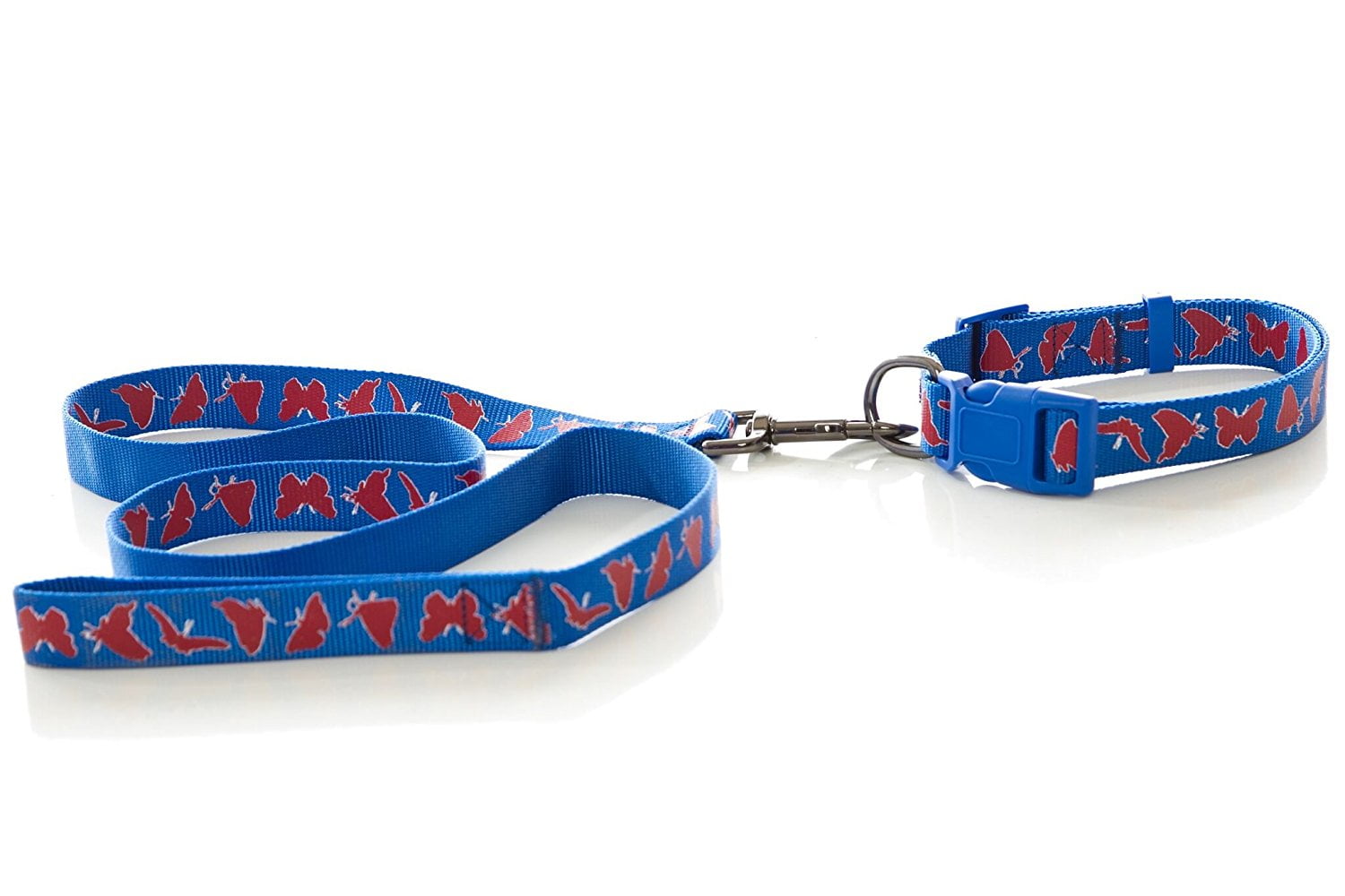 webbing dog leads