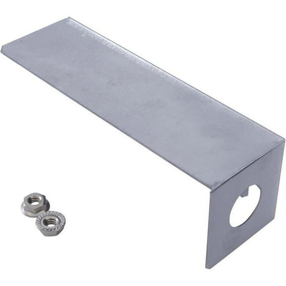 Raypak High Limit Shield 010342F