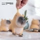 thumbnail image 2 of Soft Fidget Toys Kapybara (1 Juego 1 Lindo Capibara), 2 of 9
